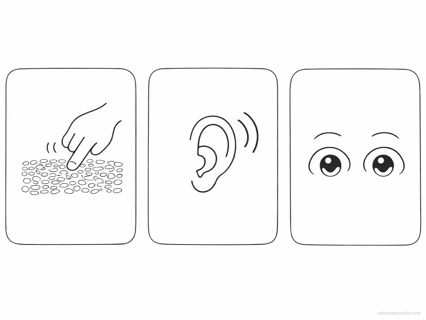 Tarjetas de exploracion sensorial: toca, compara y describe