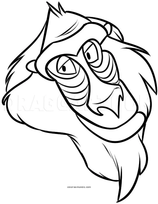 Dibujo para colorear: monkey del rey leon
