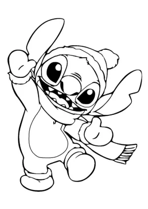 29 stich