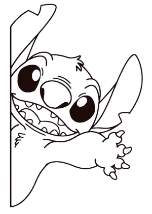 45 stich
