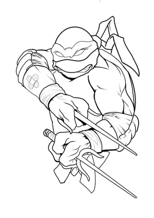 12 tortujas ninjas