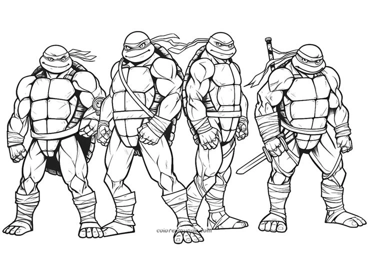 Dibujo para colorear: las tortujas ninjas posando dibujo creativo para colorear