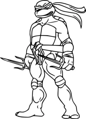 30 tortujas ninjas