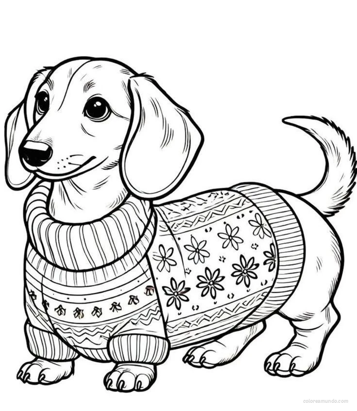 perrito salchica con sueter